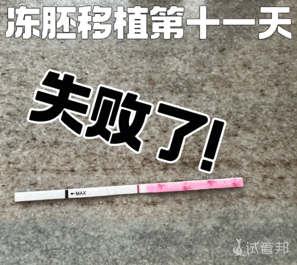 9c5bacdec7ae3a142f0d61ad3c207232.png 冻胚移植失败保胎机会都没有