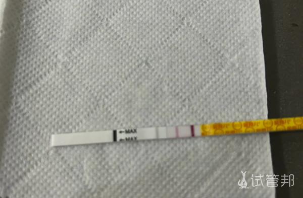 694033708cd967e4e7cdb74efed55a9b.png 试管这条路很难好在成功怀上了