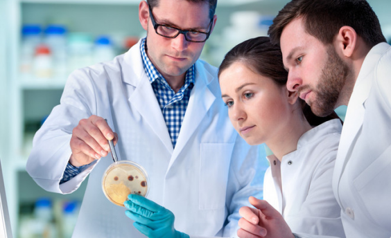 04ca6af41c7637c0ed79a30c687faee7.png hpv检查前后多久不能同房