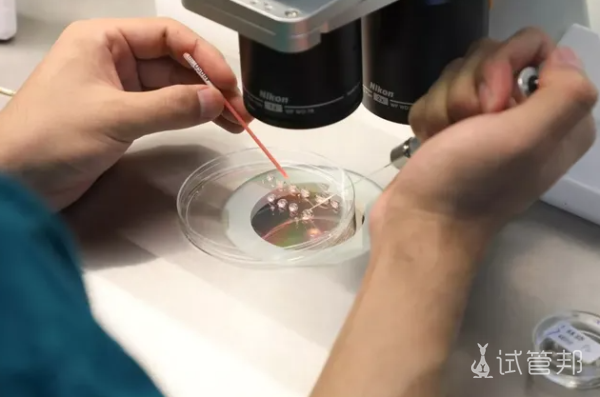 8a5a692684dcdfc87108854df71e50a2.png 泰国第三代试管婴儿的医院有哪些