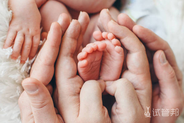 617e434008cdeb036574f3918175462f.png 小儿尿道下裂做的手术是几级的