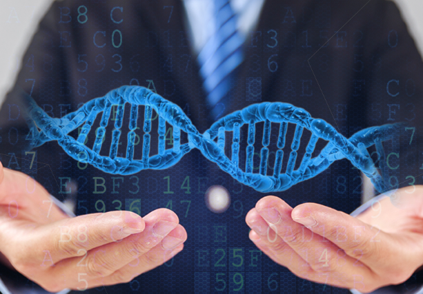 ed946316cce267d56a8af27c90e755bc.png 多基因遗传病的遗传基础是什么