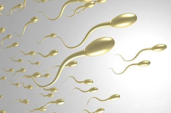 034f611492d2b667c3cc1c9a530b204b.png 血精症花多少钱