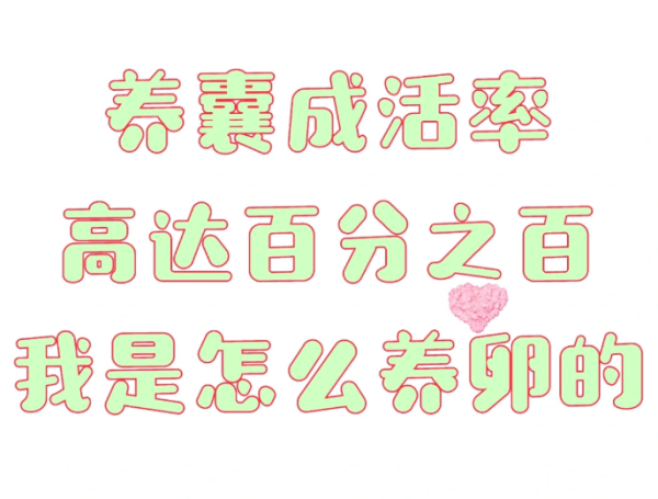 2d63b9c0b860f6e129b752c98e074a73.png 养囊率100%快来看我是怎么养卵的