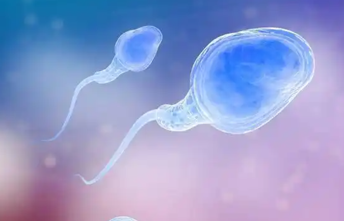 42f240cefdce6a8c4df49384aa2e059f.png 血精症是怎么回事