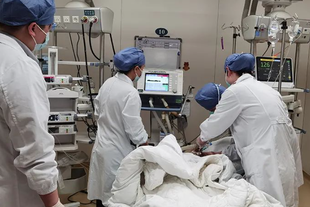 5d9924ffbc6b2ca43b2f0cbaa3900679.png 羊癫疯一般能活多少年