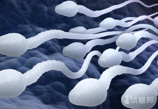 75f4f6b62c06ba21790cab1fdf23ba64.png 血精症是怎么引起的