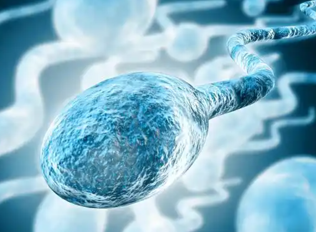 9051d027cdc883bd49b4a7d7cbe8b134.png 血精症怎么可以完全治愈