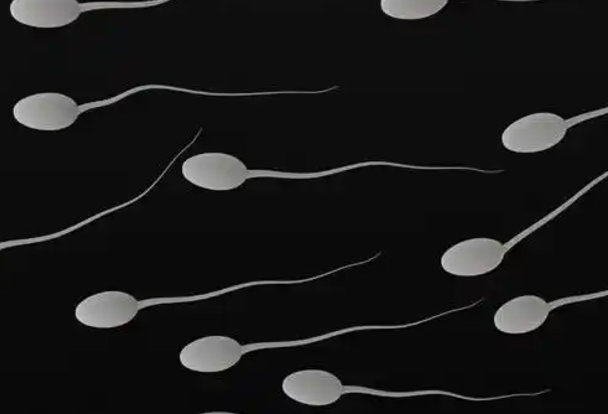 d728228245033e3890164ddad408f8c7.png 血精症身体有什么症状