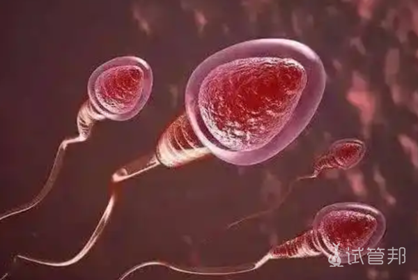 da1ff607cd6908f96d8030780cf45f5b.png 血精症怎么完全治愈