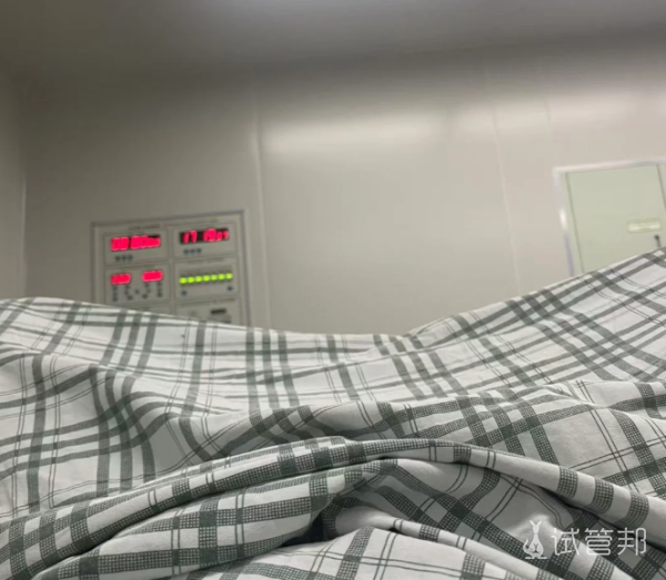 0931817595b1195b48cb729e520038a3.png 人工授精好像没想象的复杂挺轻松的