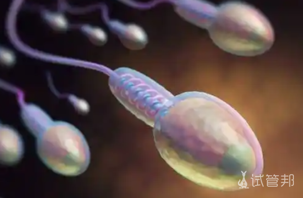 31edacdc5f4960c4f5dbb1978c5f155b.png 改善精子畸形症的方法有哪些