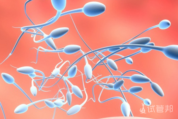 a31834b204d10440d0fed0f326233b8b.png 中度精子畸形症应该怎么办
