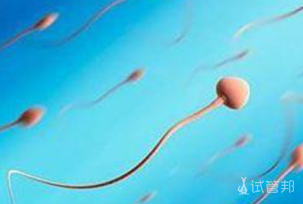 c229fe5b4a39762cfeae82016ab6655f.png 中度精子畸形症严重吗