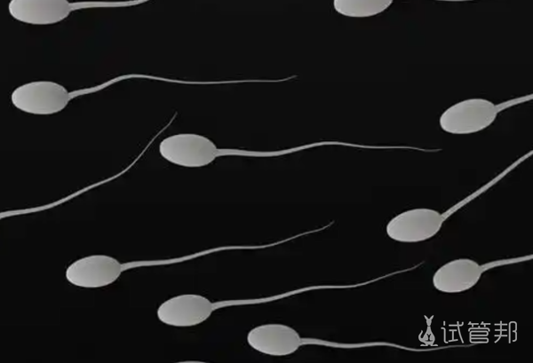 e3522487a17da3ba7ad15fae40dfc7e2.png 男人弱精畸形率高可以做试管婴儿吗