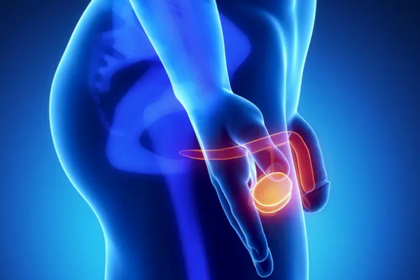 9d059c60d8dacc5e8a02f5ee1c8b7d04.png 包皮过长手术需要多久恢复