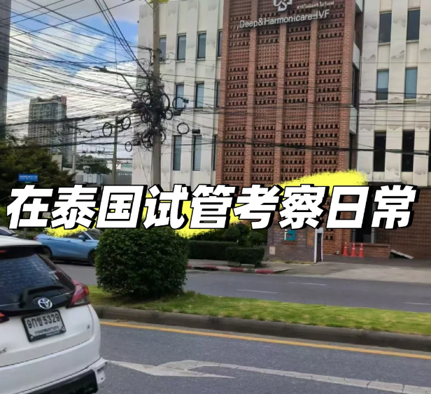 029129264bed867f68e52254e2e10a90.png 泰国试管考察中分享下我的体验和感受