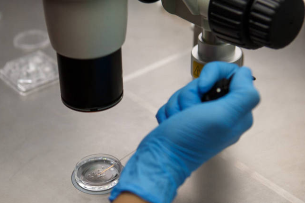 9260d9658ecf7c49b9d26e045a986a9f.png 做试管婴儿之前需要准备什么