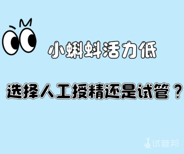 b426d57cf371a77bc1ff09538de867da.png 精子活力低试管婴儿和人工受孕选哪个