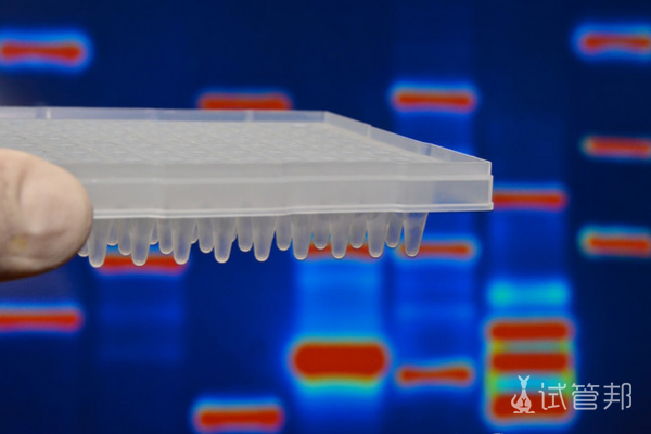 0d0e479bea0f7c58f70020ba559c3169.png 试管婴儿过程中准爸妈不要做哪6件事