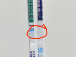 早孕试纸谁家可以更早测出来怀孕？