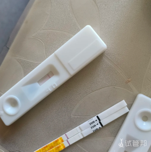98cc251fb2638de88489513e099a66c5.png 早孕试纸解读秘籍来啦