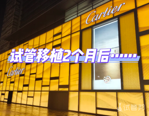 b0d29910e4404c5300a9aa4c4bf92a41.png 试管婴儿移植失败后2个月身体及心理变化