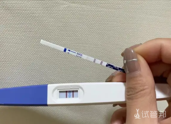 泰国试管婴儿可以选择性别吗,泰国试管婴儿有年龄要求吗 试管婴儿一次上岸我也算苦尽甘来