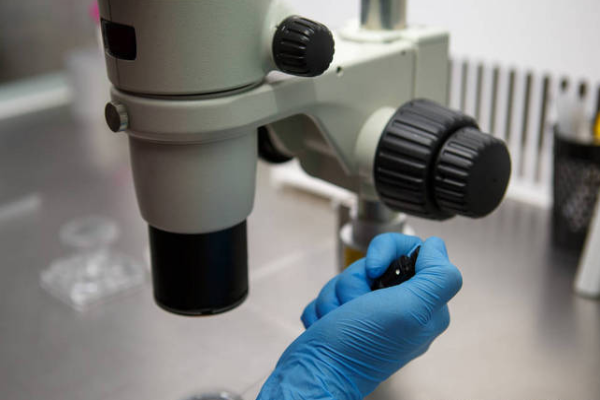 8b2c4ec3095b61fecdcc725bc9578759.png 试管婴儿的全部流程介绍