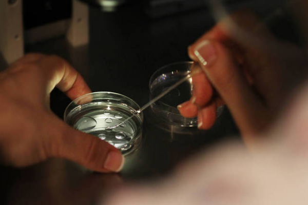 76cd8a7a5bc843061cf20e583334defb.png 如何应对试管失败