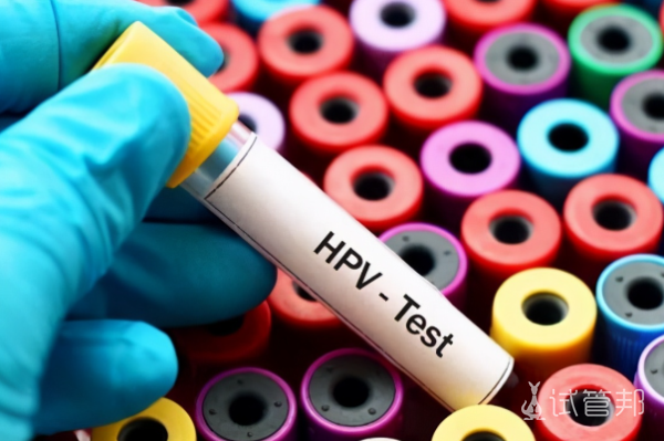 075828e23e14174591fd0c4c9fecfc6e.png 人乳头瘤病毒52型阳性是什么意思