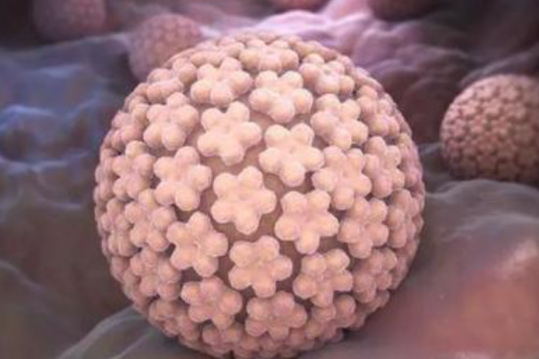 3a96edec416cd56c89f0bb630e6981c4.png 得了人乳头瘤病毒阳性严重吗