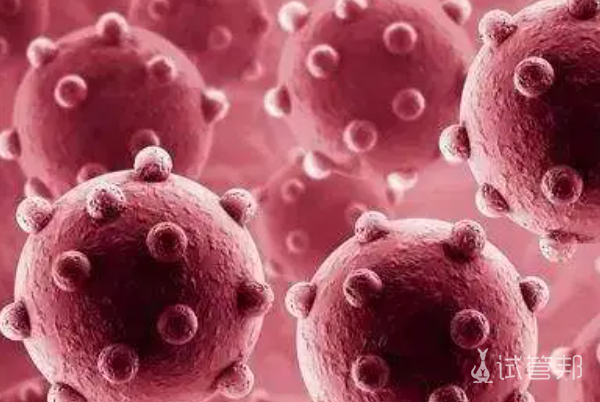 3dcc90004ef3e9cf2d37bb08f180b5fe.png 人乳头瘤病毒需要检查吗