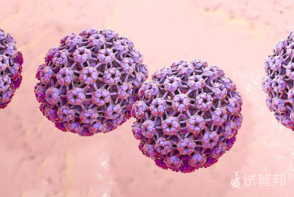 5cadf695a6df44183bbb67f762d1bcfa.png hpv病毒检查多少钱