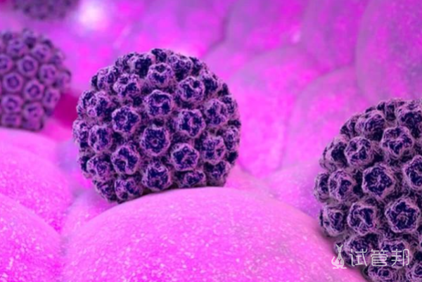 6450e0a9651c36f1c32587f44eaced82.png 人乳头瘤病毒hpv是什么意思