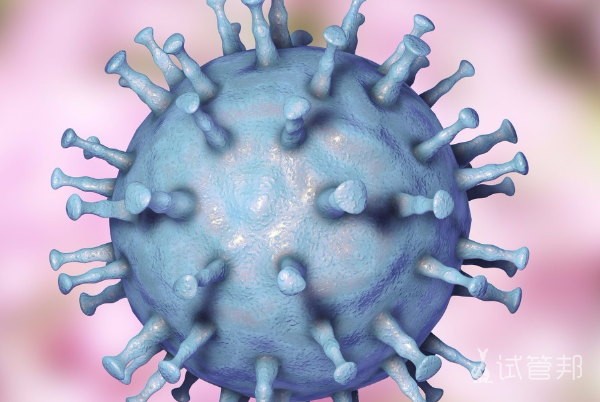 6475f21f056917ec315480189cb9d6d8.png 人乳头瘤病毒56型阳性是什么意思