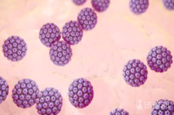 6bc67a2357abccd21580097788c707fc.png 人乳头瘤病毒是什么意思