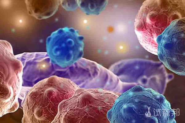 6ec485798fcc10fa0933ce54870f9362.png 人乳头瘤病毒感染可以同房吗