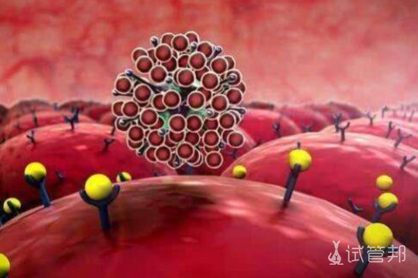 c02c338447f312956a806710c06cc984.png 人乳头瘤病毒56型阳性严重吗