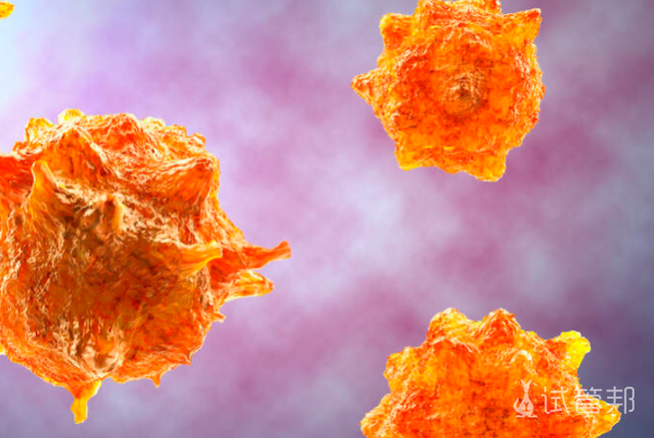 f5531cc75275c3cd424aed82f61f2b67.png 人乳头瘤病毒早期症状有哪些