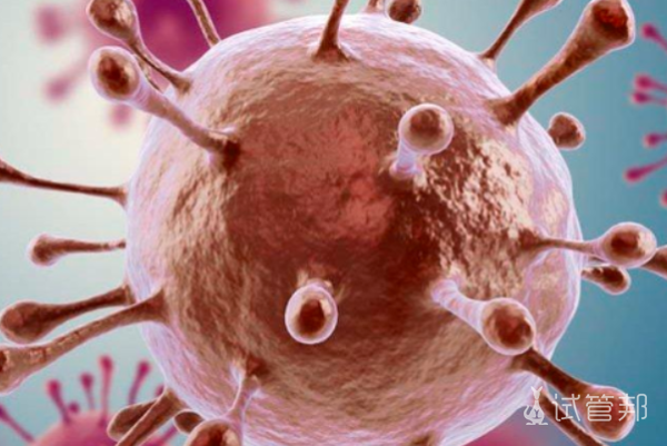 fadf8a525a4f7d5abc3c433b0c12702b.png hpv是什么病毒