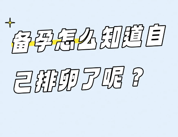 排卵期怎么算