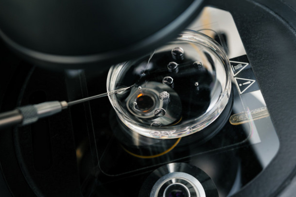 0b2253492d47c5714da2520fbc821b81.png 试管婴儿是什么