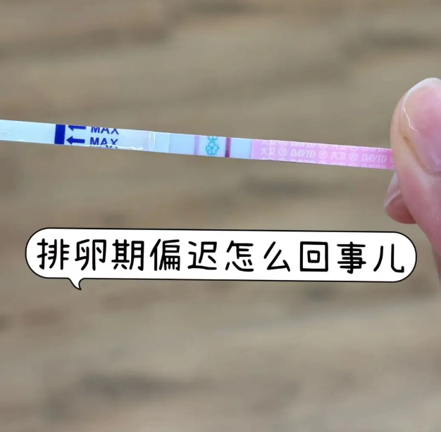 结果发现是排卵期一直推迟