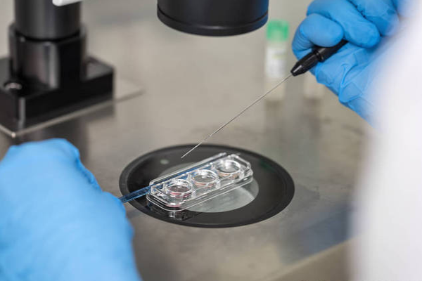 d4b28027d85332a3ec987c3cc793c65d.png 什么情况下会取消周期