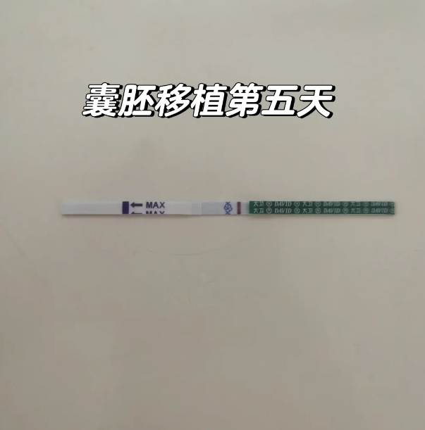 试管之路一促一移轻松上岸的秘诀