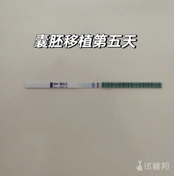 e9487057d0c78744c469628e6029f7a7.png 试管之路一促一移轻松上岸的秘诀