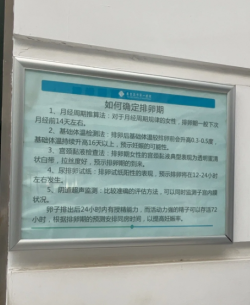居然就怀上了，多囊做卵泡检测真的有用