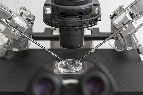 e5df5271c8c647b99e07b24103dc8a64.png 什么是三代试管