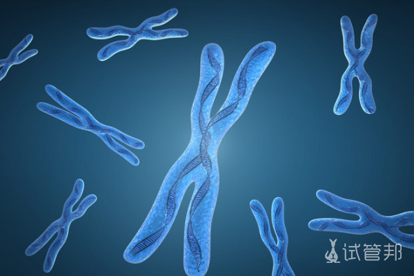 22b55c71305840fe96146b75fab8bb6b.png 性染色体异常有哪几种情况